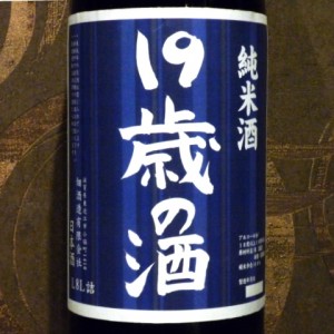 19歳の酒H27